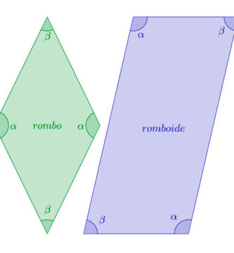 problemas resueltos de rombos y romboides